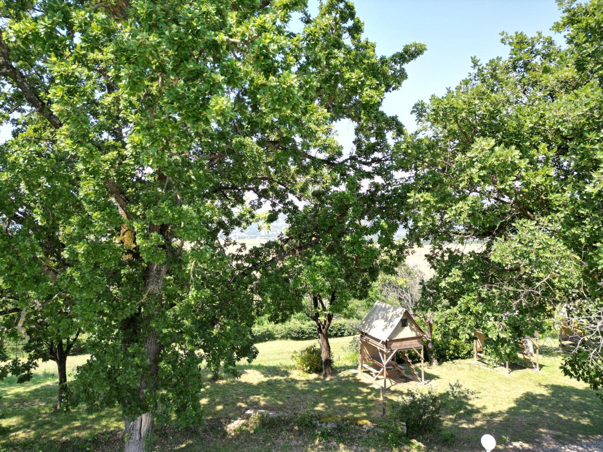 Camping Domaine De Senaud 알봉 외부 사진